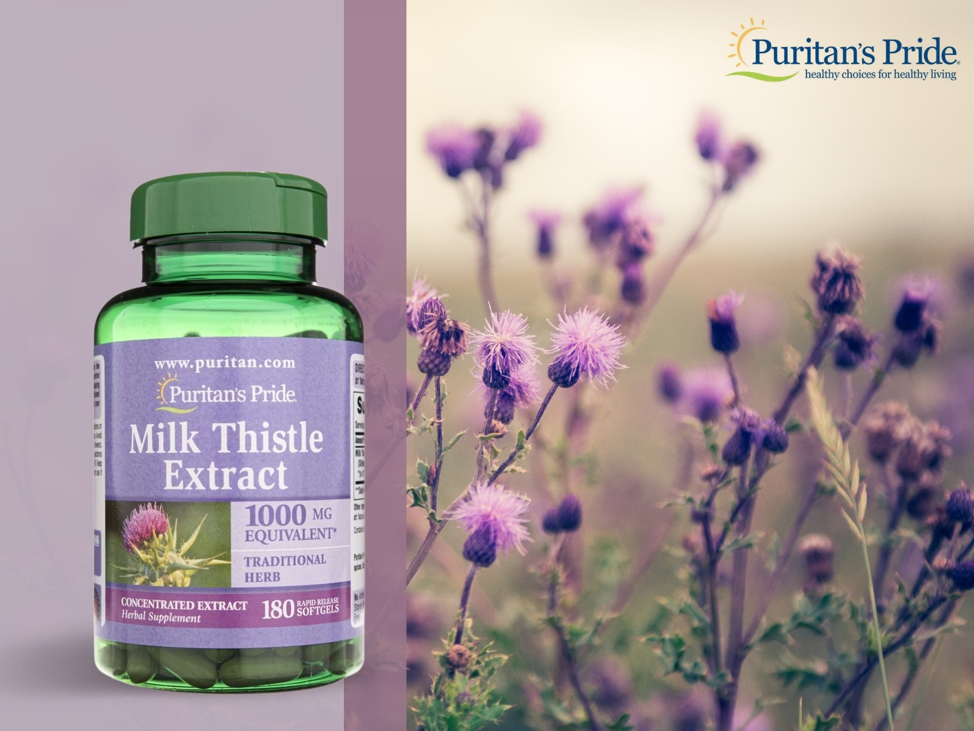 PURITAN'S PRIDE Milk Thistle 4:1 Extract 1000mg - 180softgels