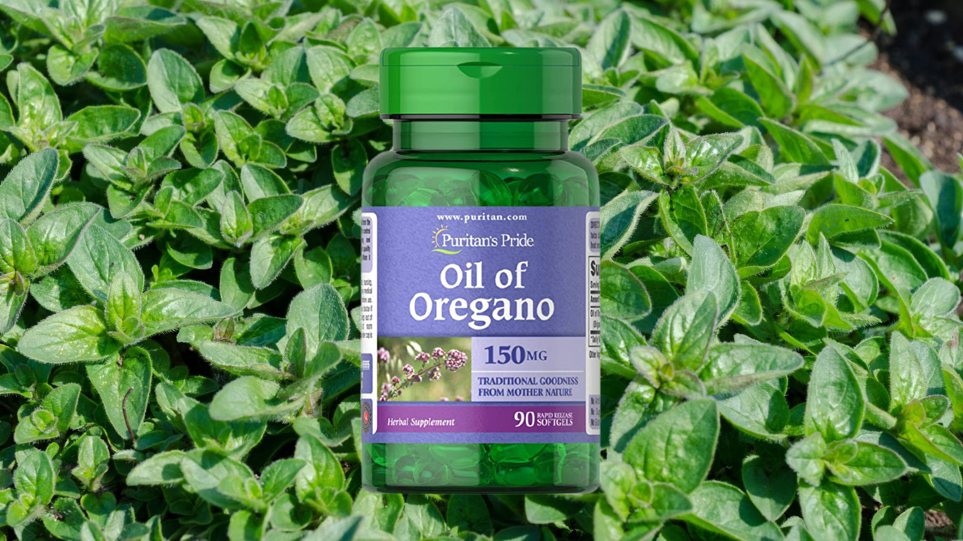 mp_sklep_Baner1_Puritan_s_Pride_Oil_Of_Oregano_150mg_90softgels