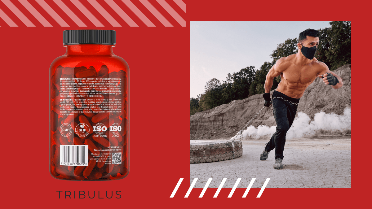 Tribulus - booster testosteronu