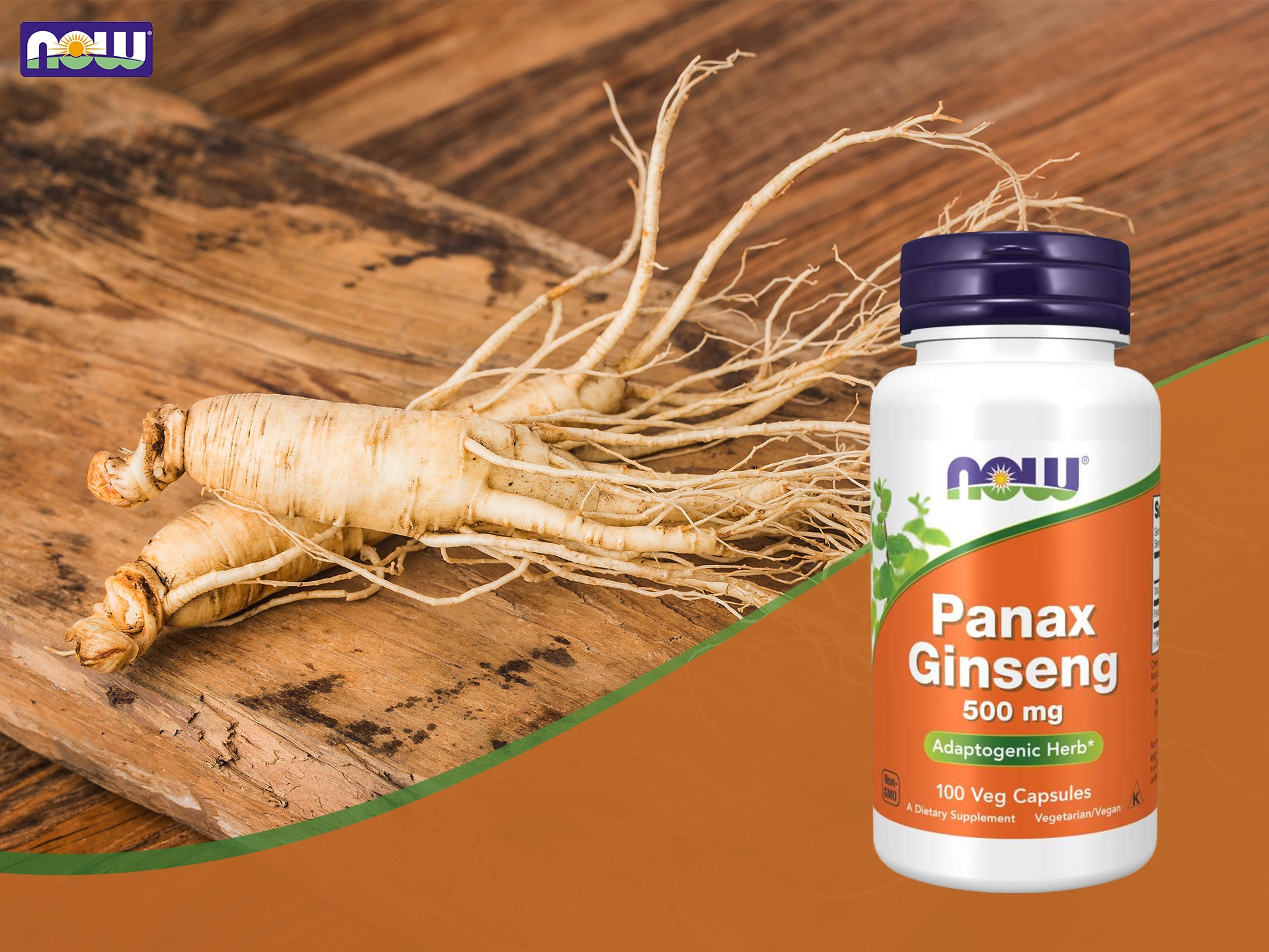 Panax Ginseng - żeń-szeń - adaptogen, wsparcie pracy mózgu, energia