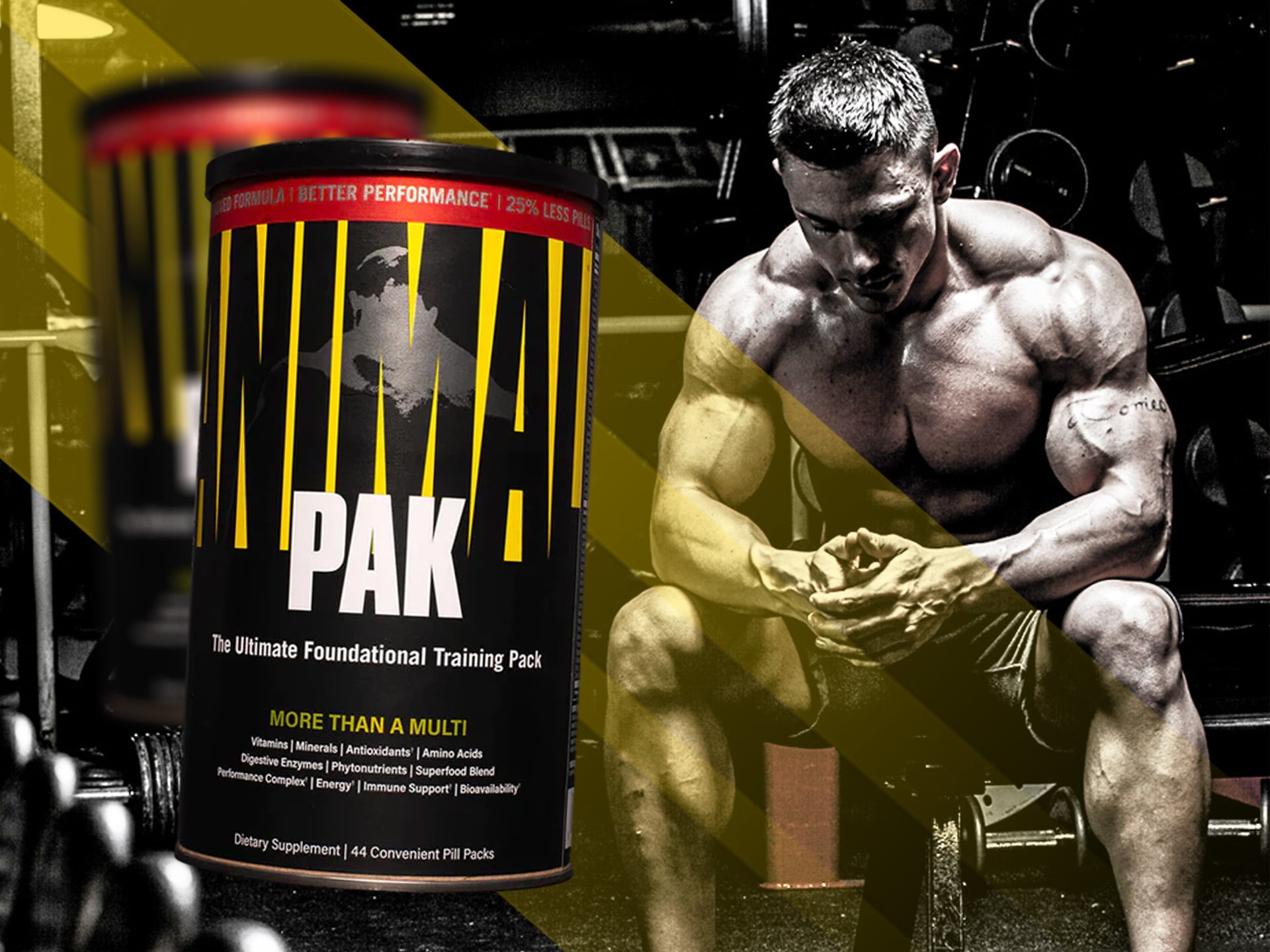 Animal Pak 1