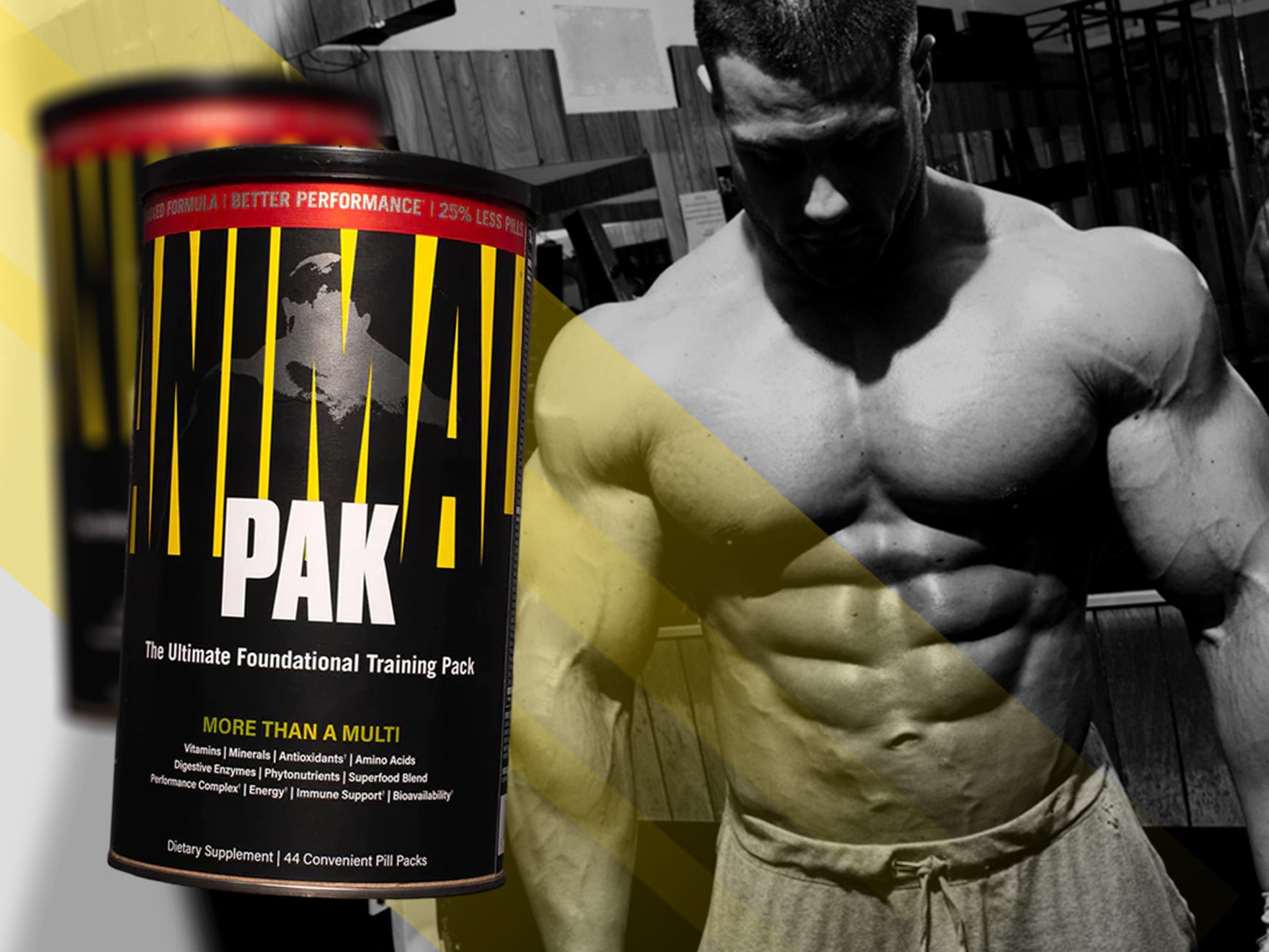 Animal Pak 1