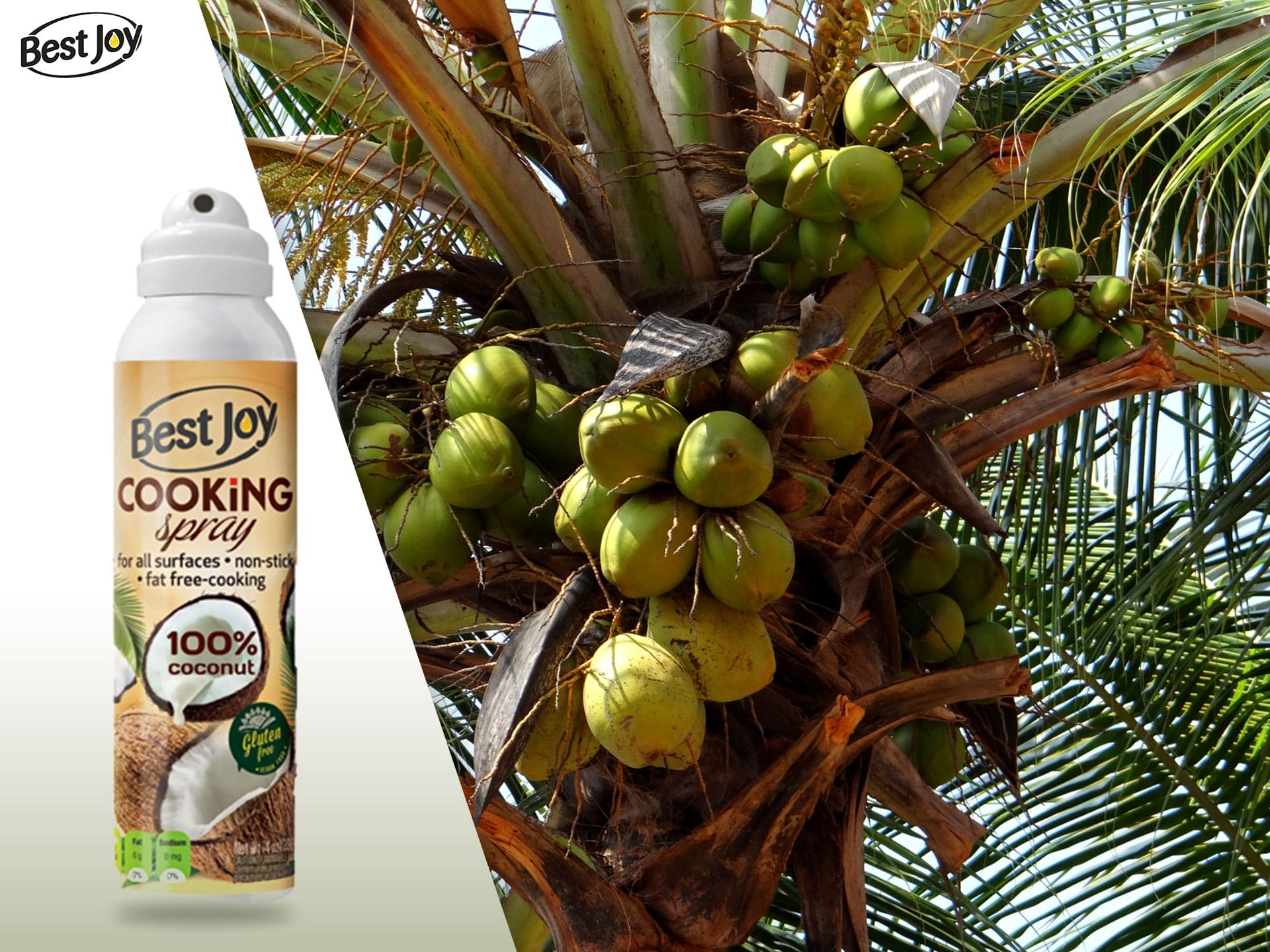 Best Joy Coconut Oil Cooking Spray