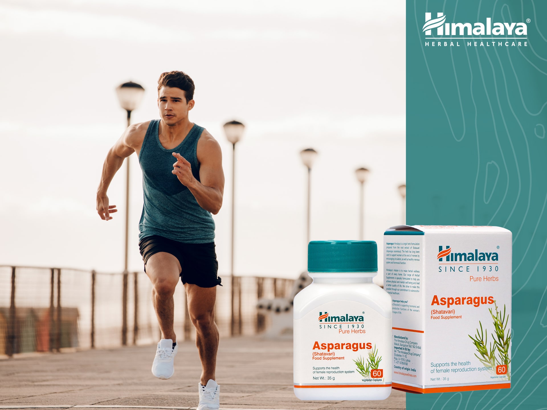 ⚡ Asparagus 60vcaps HIMALAYA Cena, dawkowanie, opinie sklep