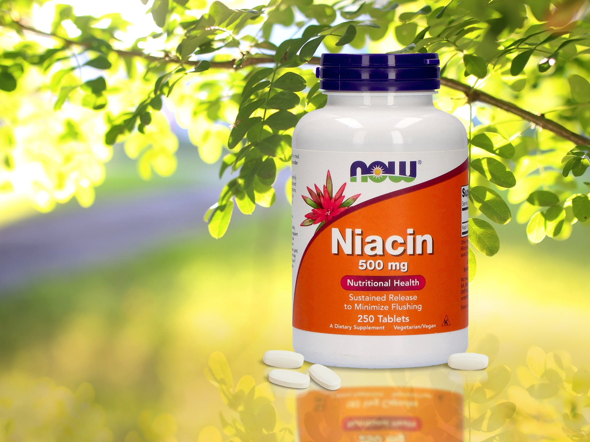 NOW Niacin 500mg