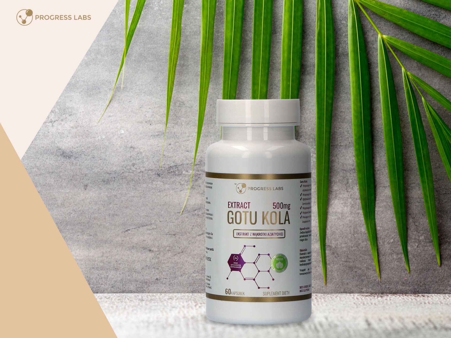 Progress Labs - Gotu Kola Extract 500mg - 60caps