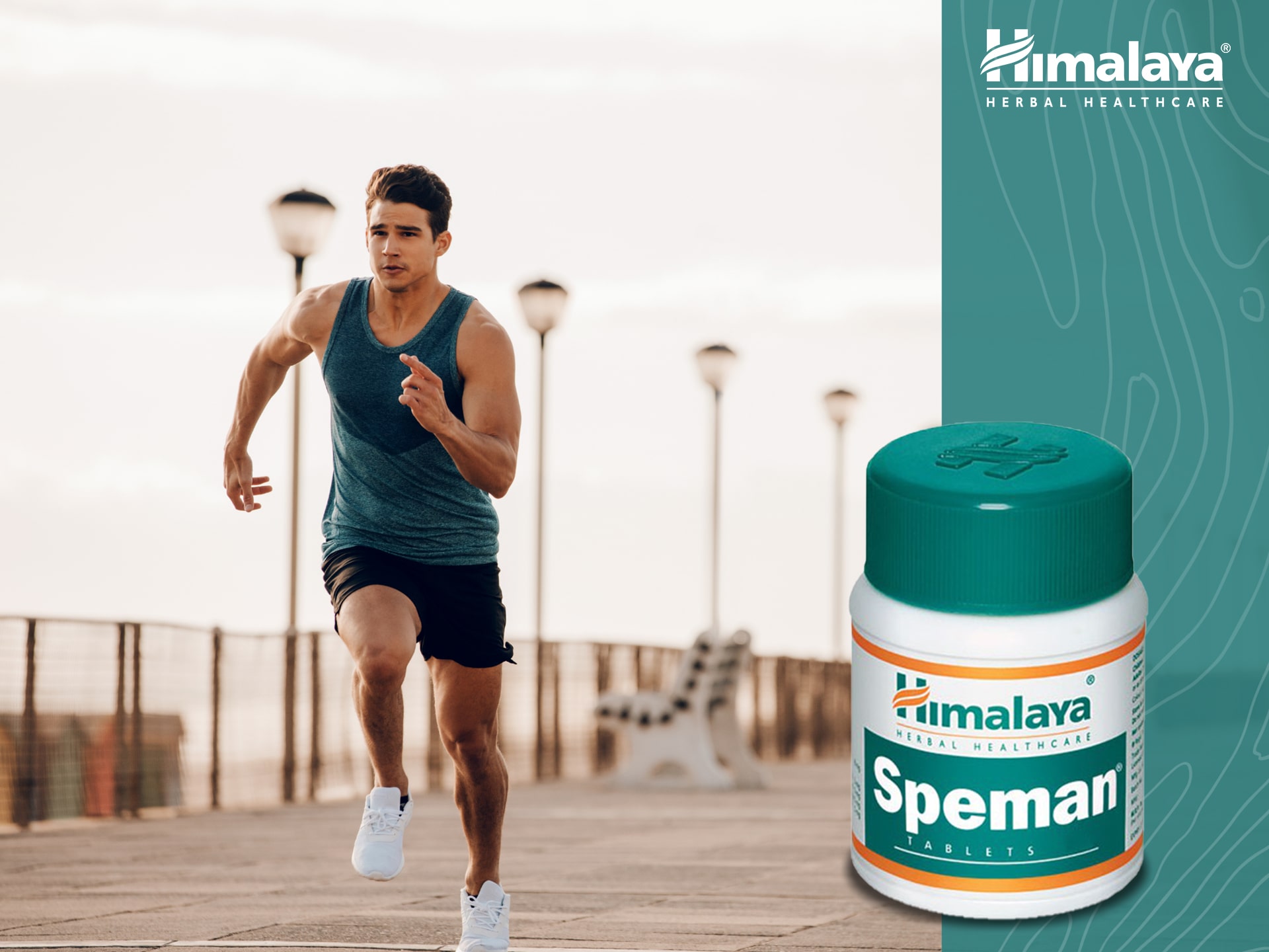 Speman - produkcja nasienia, testosteron