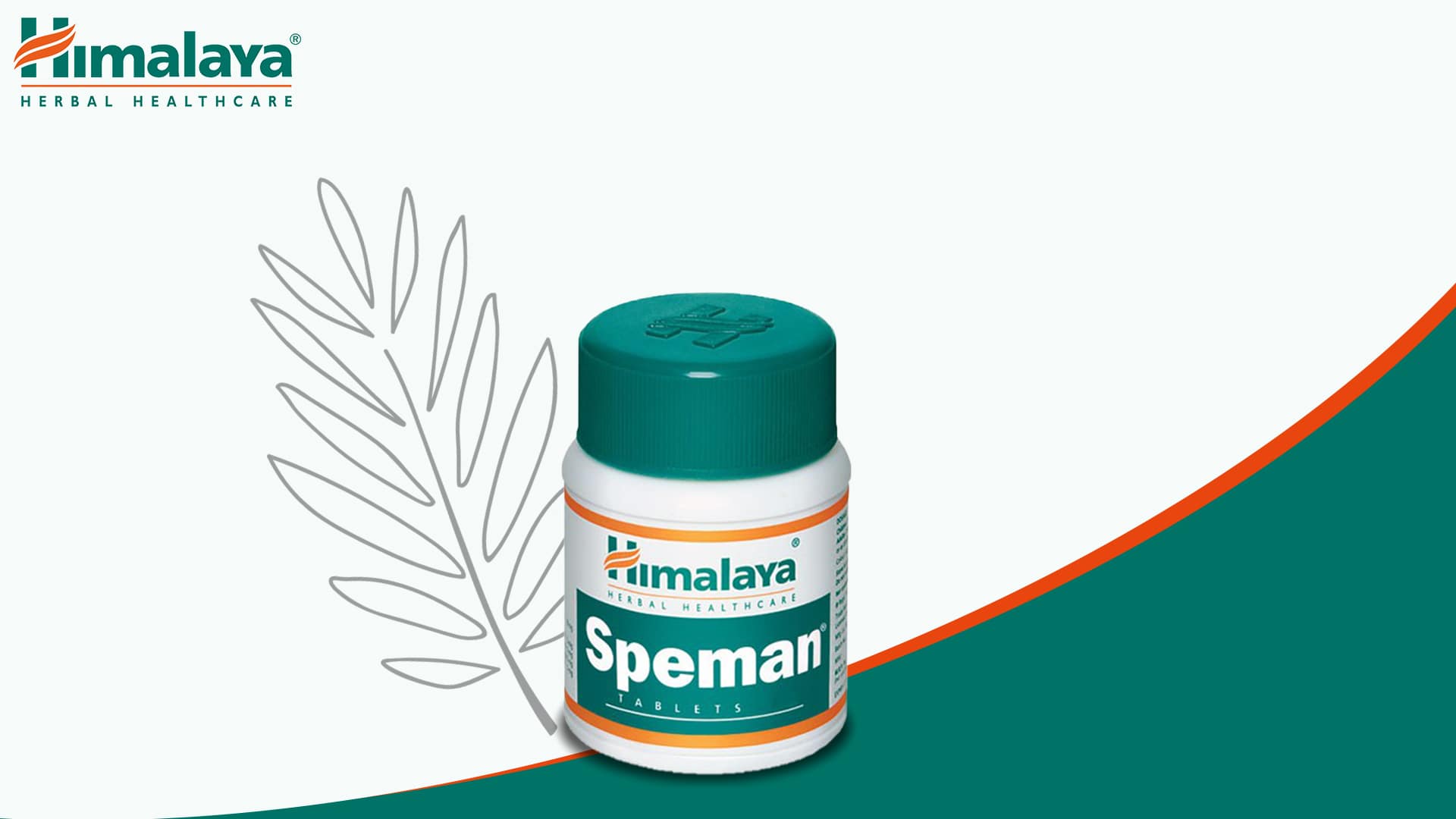 Speman - buzdyganek naziemny, sprawność seksualna