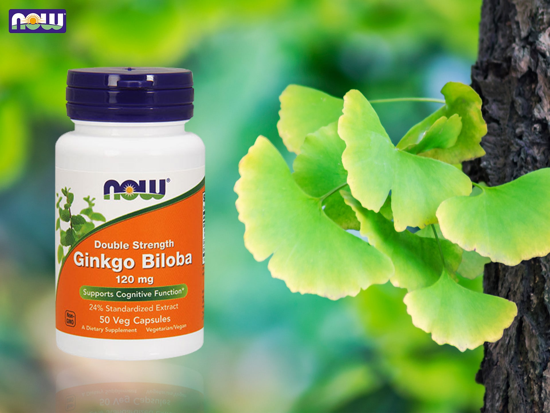 biloba