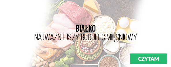baner Białko – Najważniejszy Budulec Mięśniowy