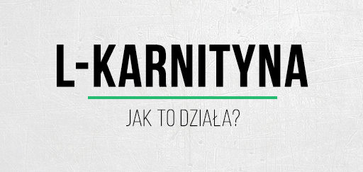 jak działa l-karnityna