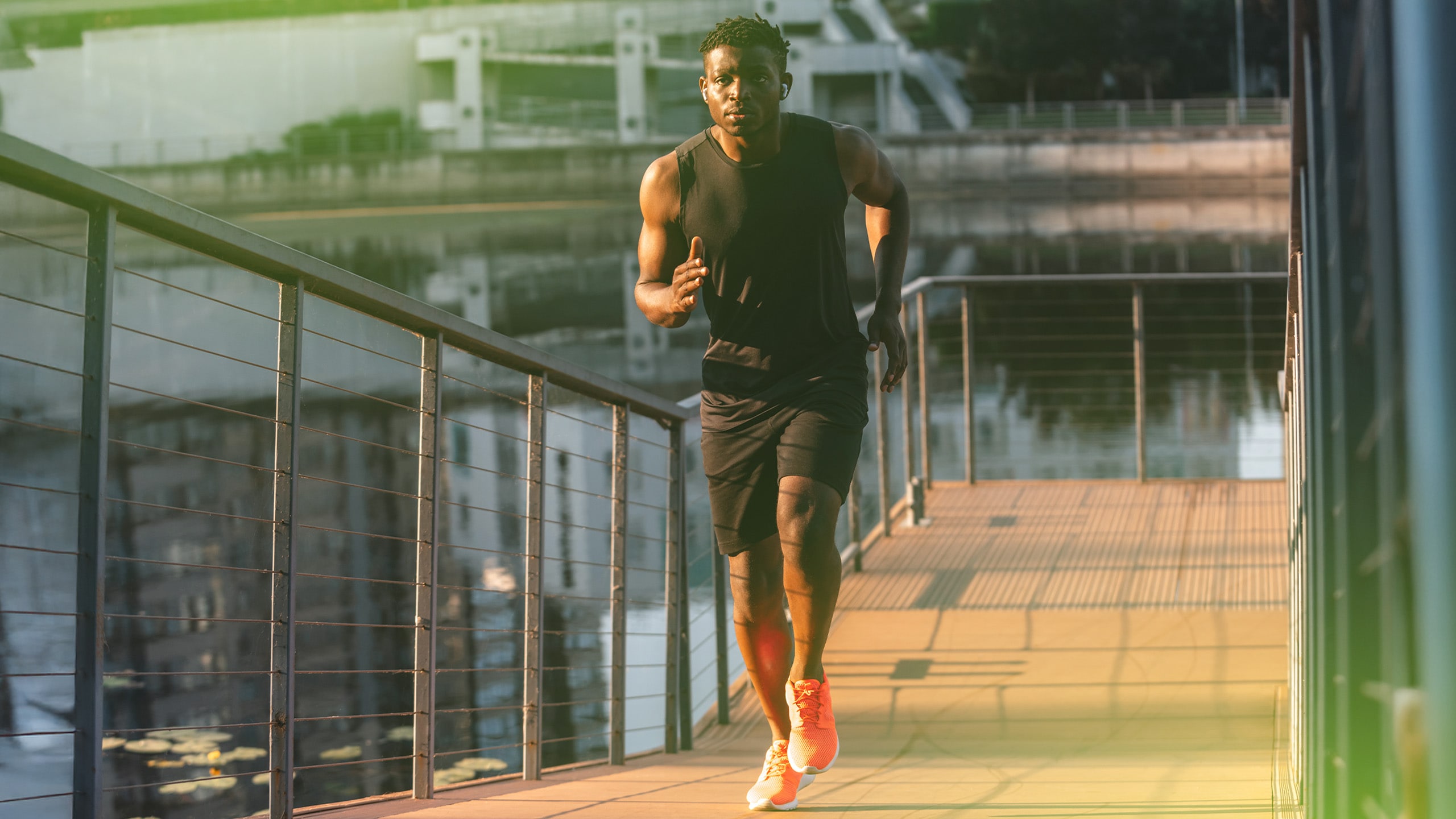 Odżywka białkowa whey WPC koncentrat białka serwatki serwatka