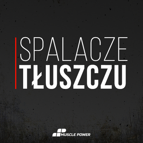 Spalacze tłuszczu - wszystko co jest potrzebne aby dobrze wybrać!