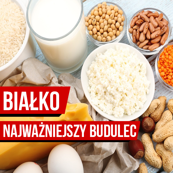 Białko – najważniejszy budulec mięśniowy