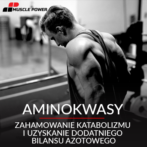 Aminokwasy - zahamowanie katabolizmu i uzyskanie dodatniego bilansu azotowego