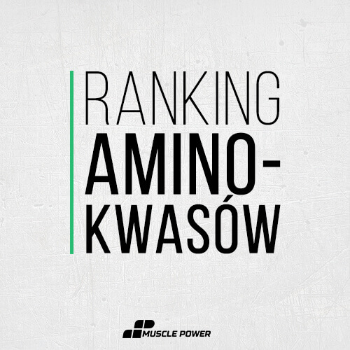 Ranking Aminokwasów [Najlepsze Aminokwasy 2020]
