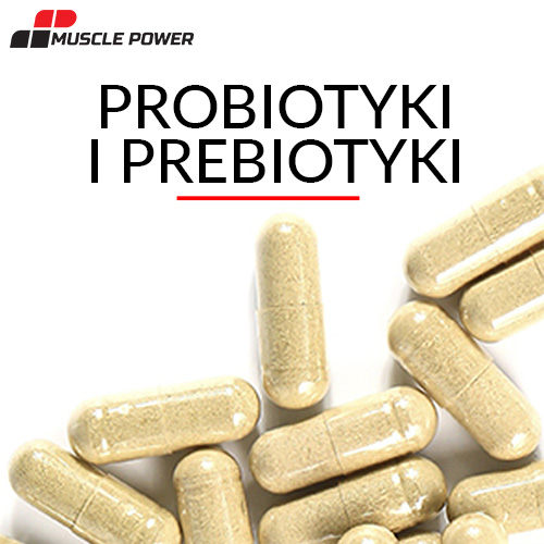 Probiotyki i prebiotyki - wszystko, co musisz wiedzieć o budowaniu odporności [Najlepsze Probiotyki i Prebiotyki 2018] - sklep Musclepower