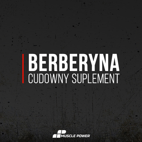 Berberyna - cudowny suplement