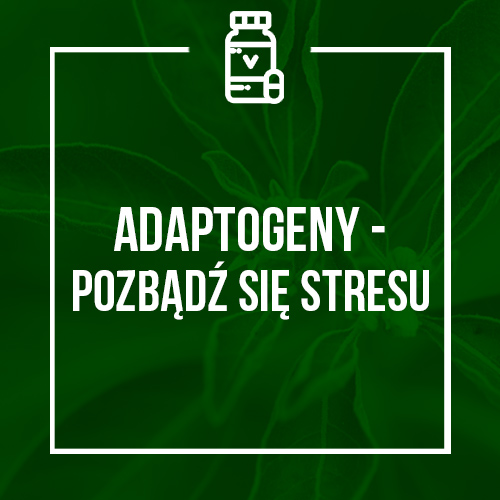 Adaptogeny - pozbądź się stresu