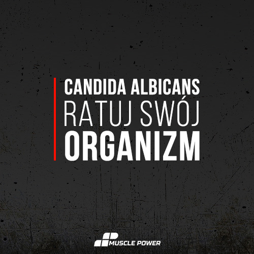 Candida Albicans - ratuj swój organizm!