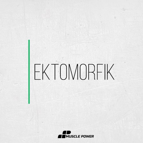 Ektomorfik