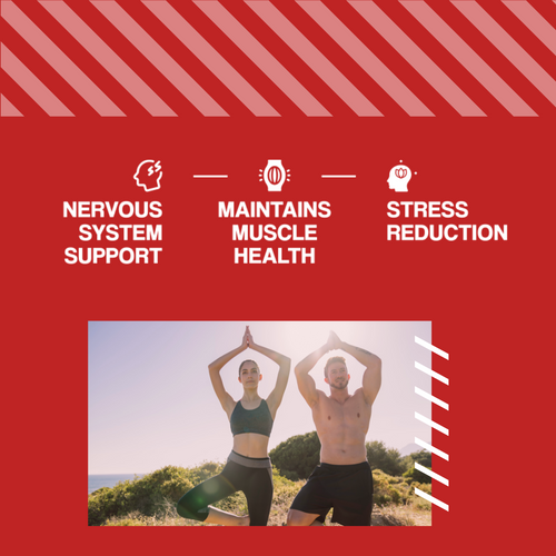 MP NUTRITION Mg + B6 - 90tabs - Magnez + Witamina B6