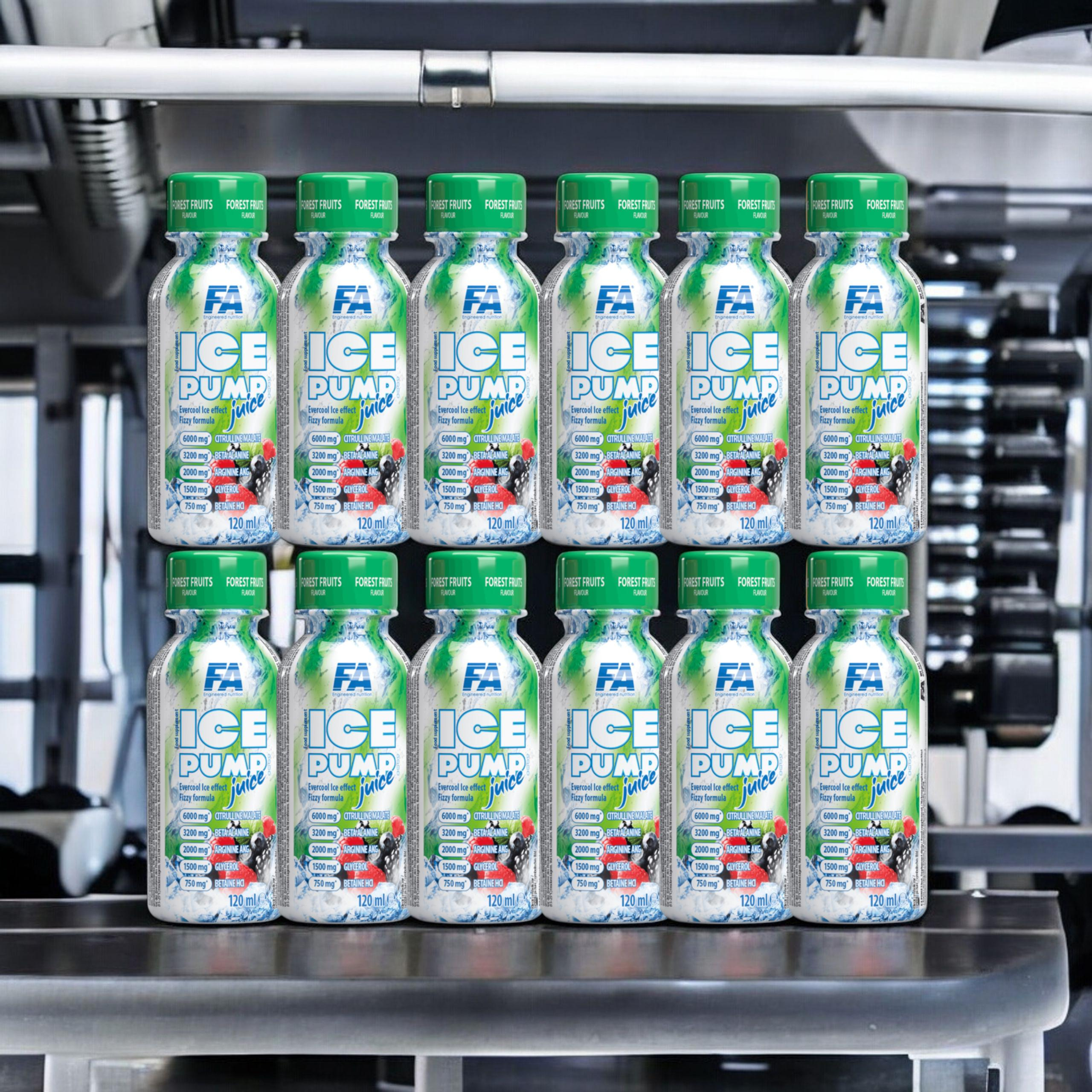 FITNESS AUTHORITY - Ice Pump Juice - 12x 2x 120ml