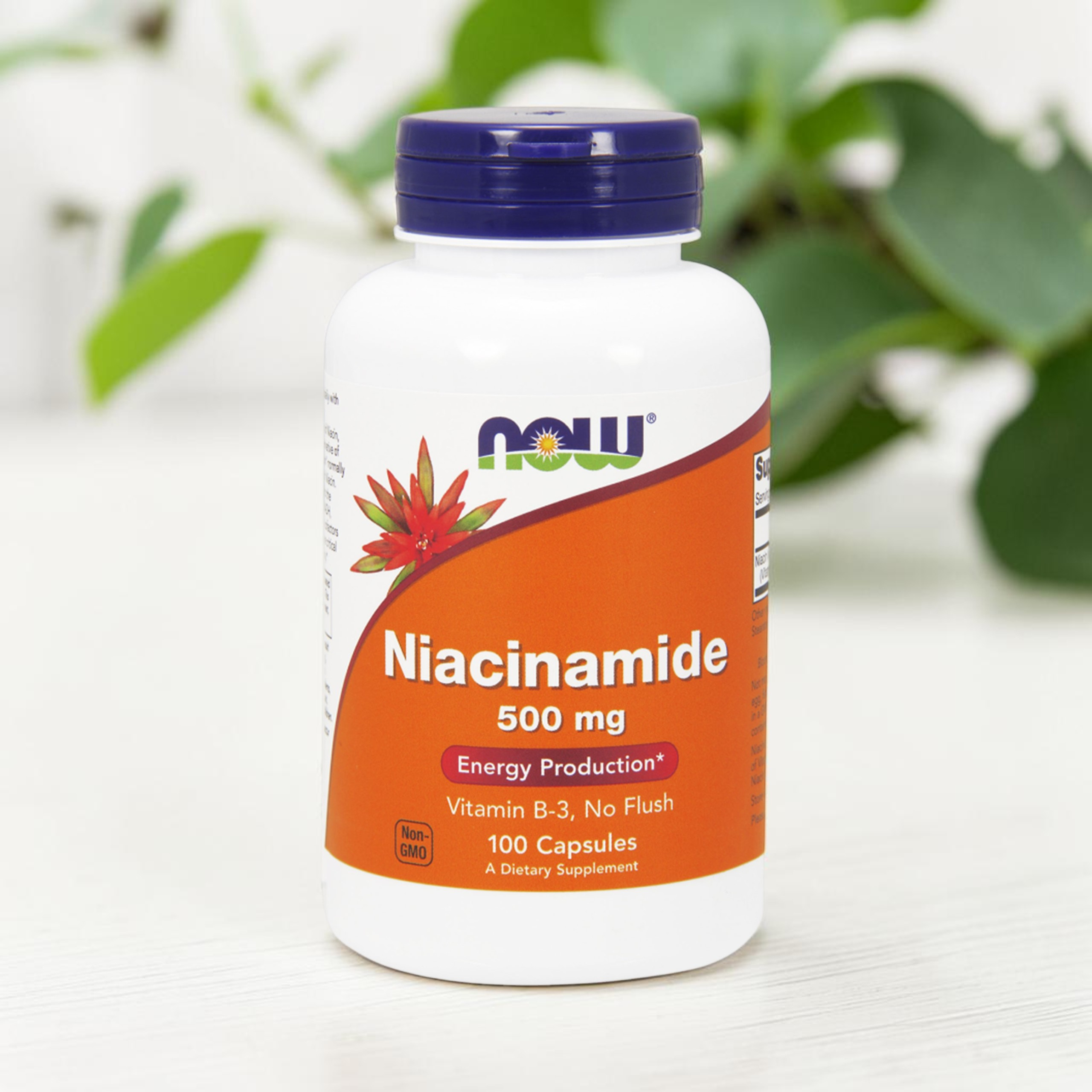NOW Niacinamide 500mg (Witamina B3 - Niacyna) - 100caps - 3x NIE ODKRYWAĆ