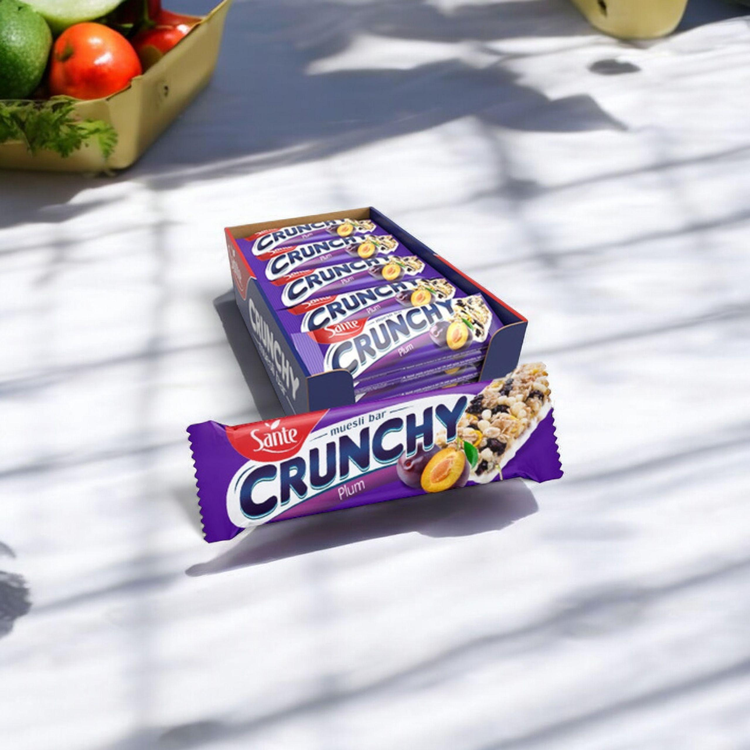 SANTE Baton Crunch - 25x 2x 40g