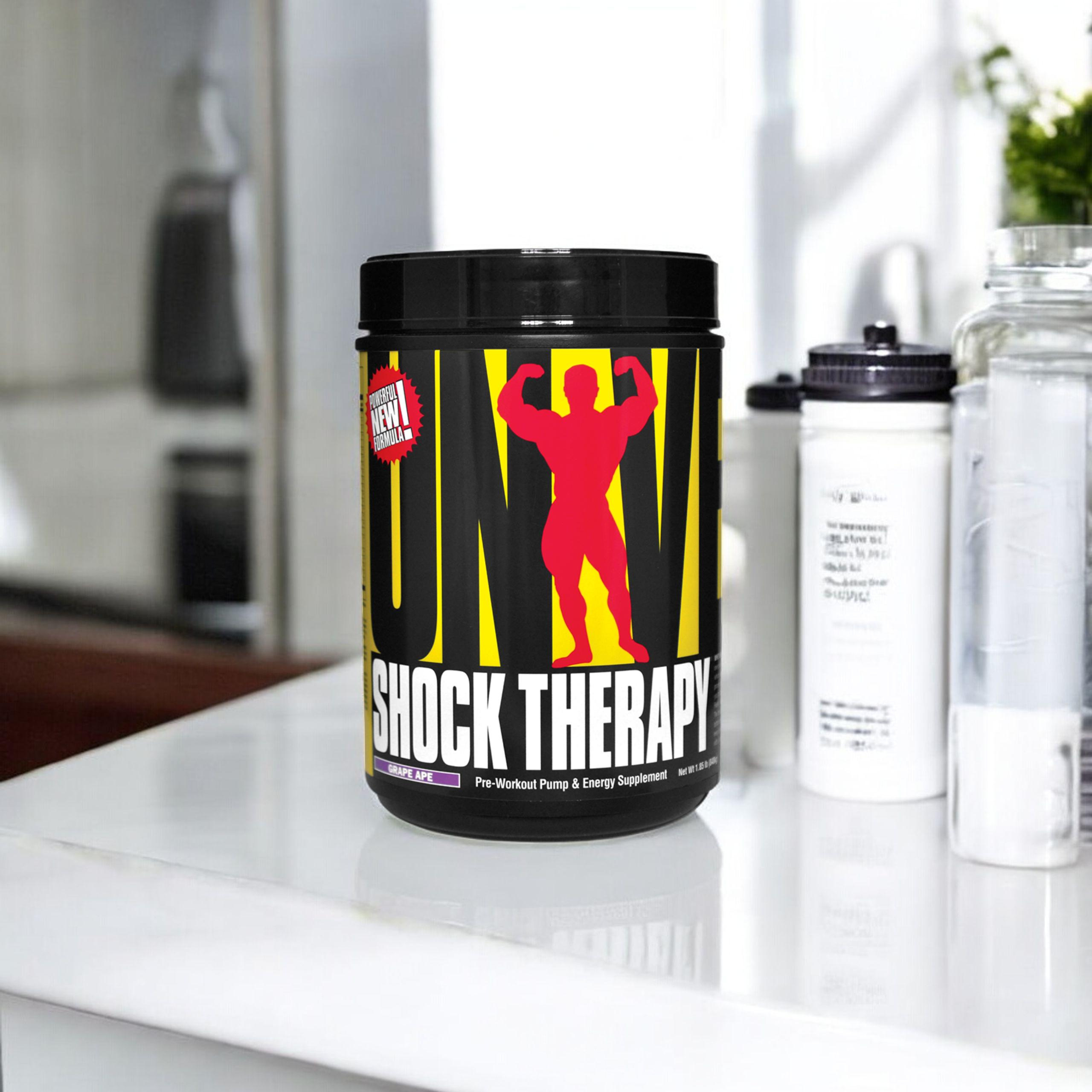 UNIVERSAL Shock Therapy - 2x 840g