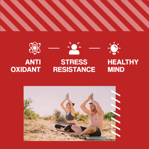 3x MP NUTRITION Ashwagandha 450mg 9% witanolidów - 60 caps