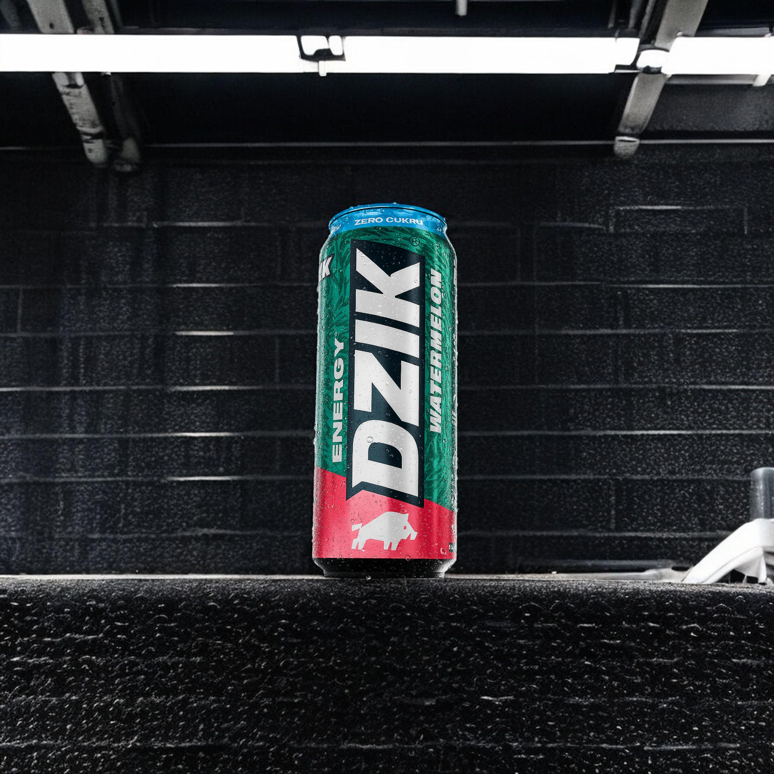 DZIK Dzik Energy 2x 500ml