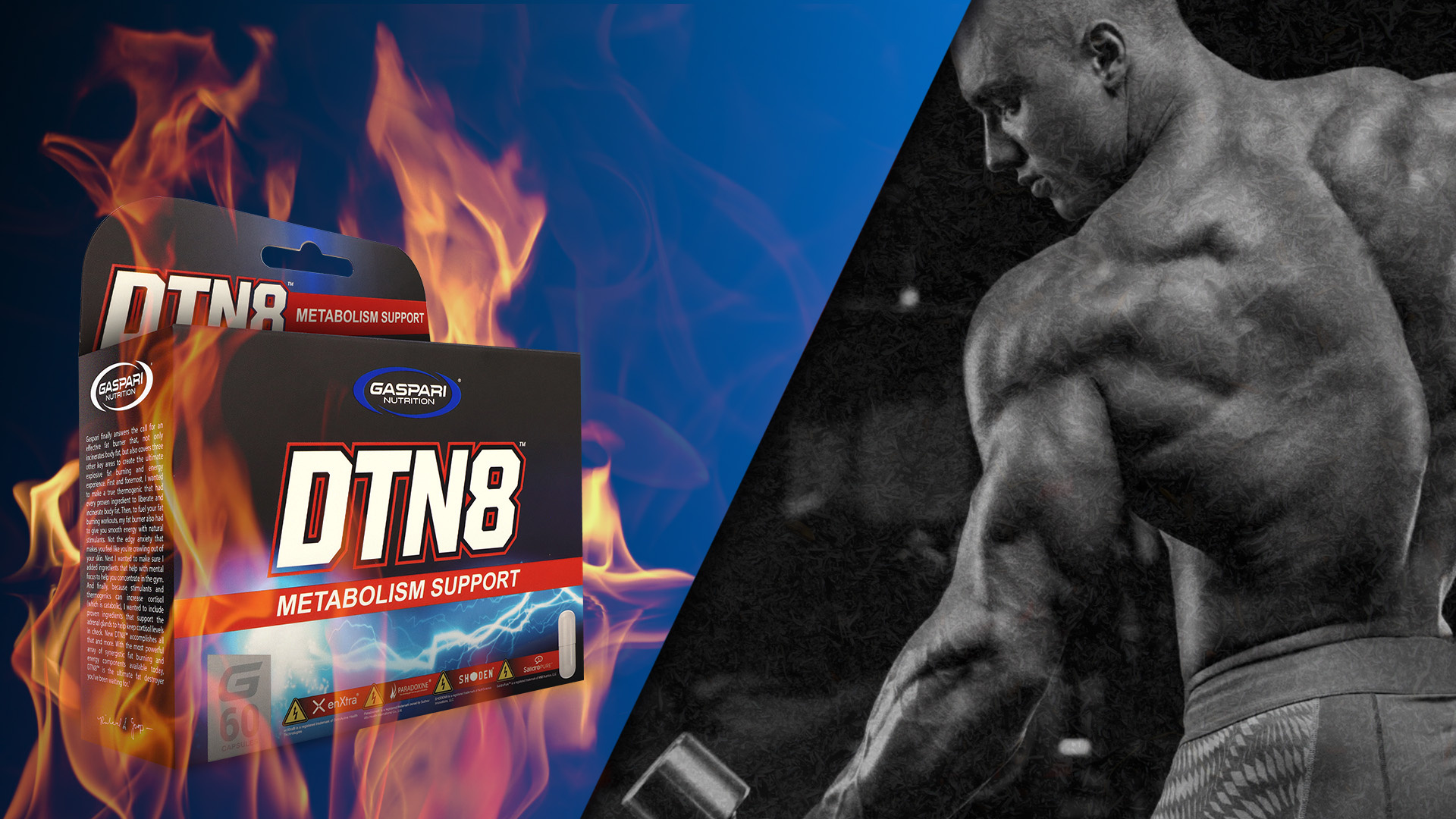 GASPARI NUTRITION - Dtn 8 - 60caps.