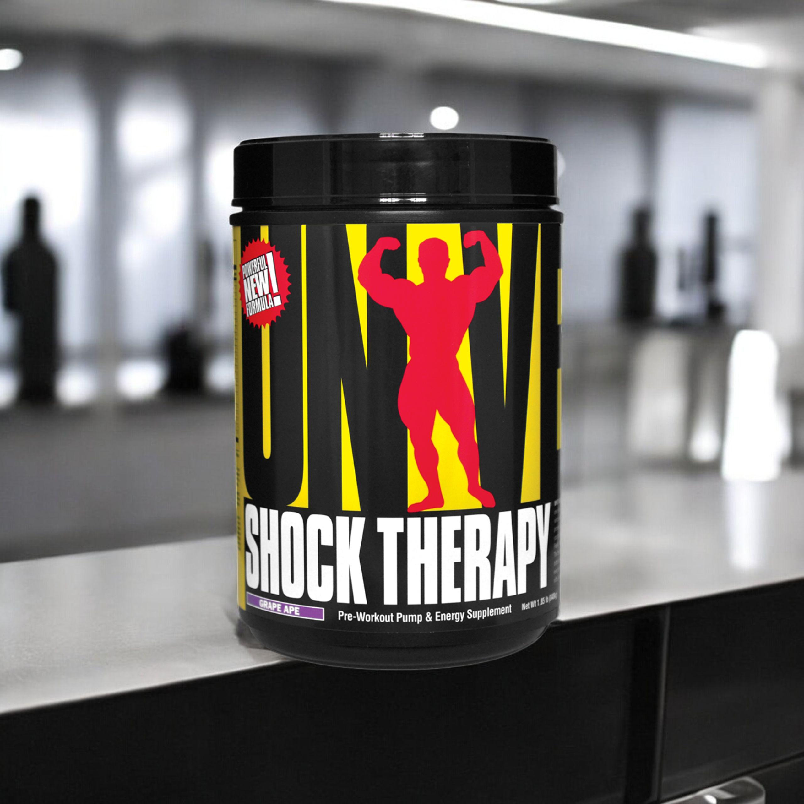 UNIVERSAL Shock Therapy - 2x 840g