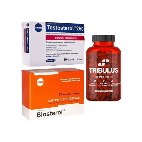 MEGABOL Testosterol 250 - 30caps + Biosterol - 30caps + DAA Stin - 90g