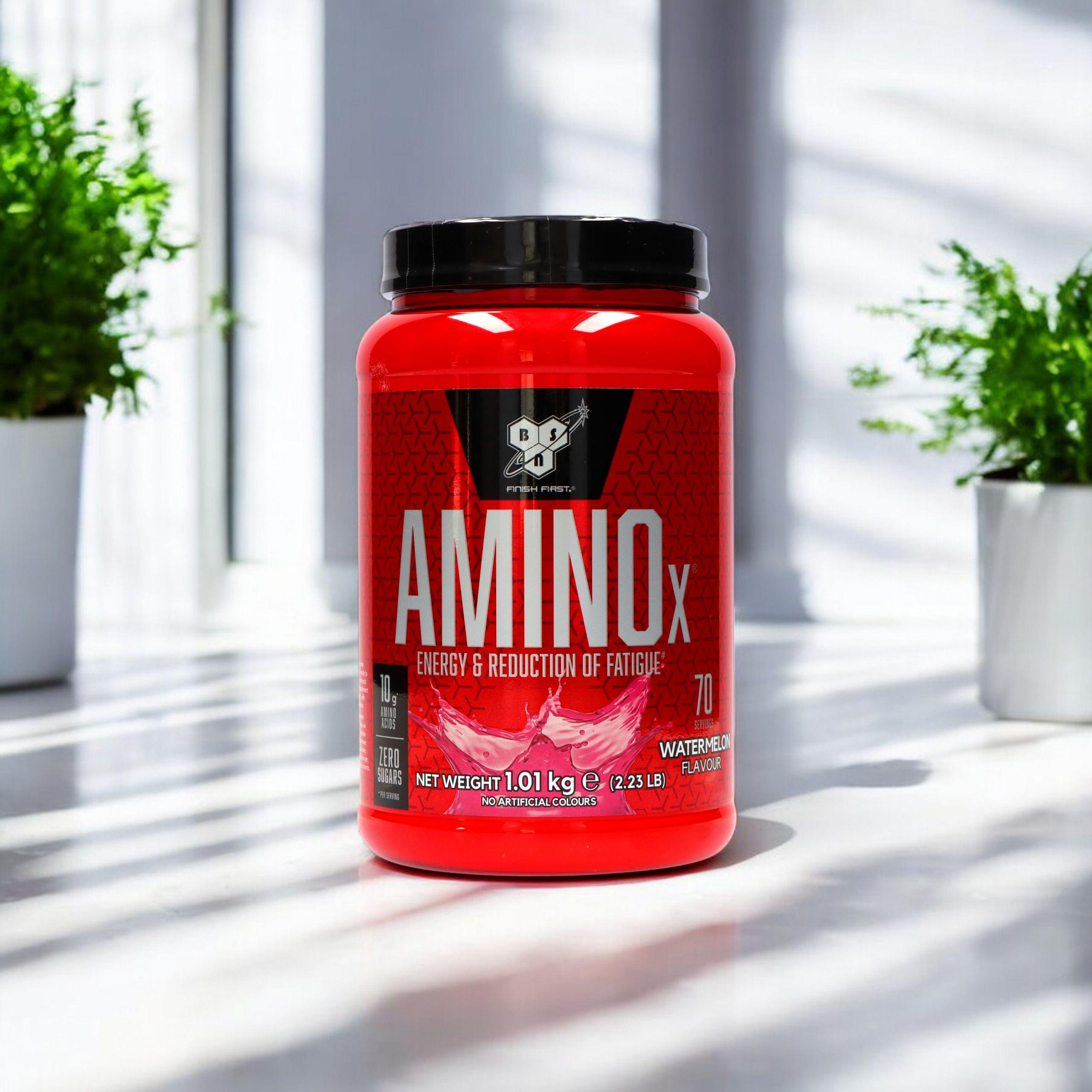 BSN Amino X - 2x 1015g