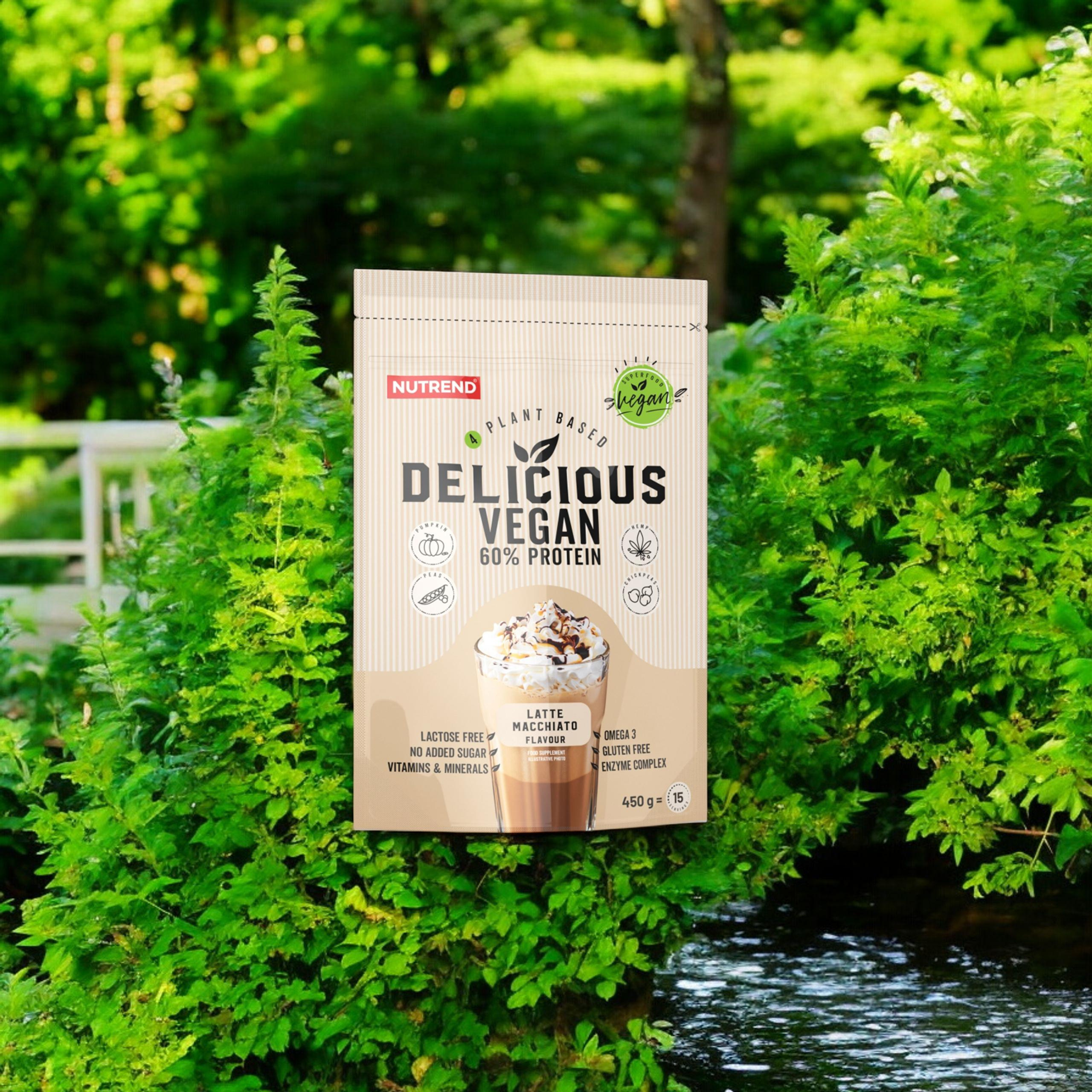 NUTREND Delicious Vegan Protein - 2x 450g