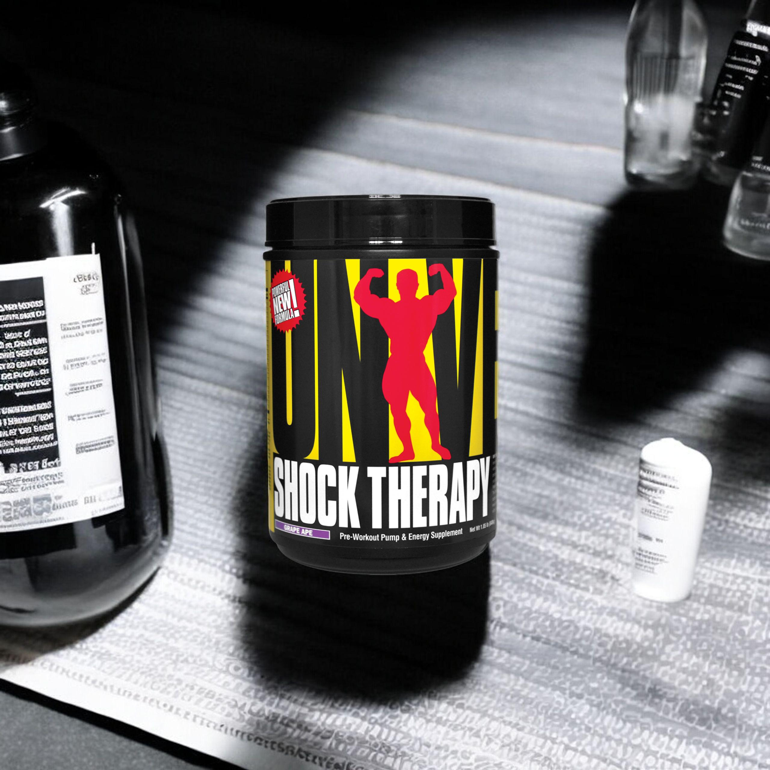 UNIVERSAL Shock Therapy - 2x 840g