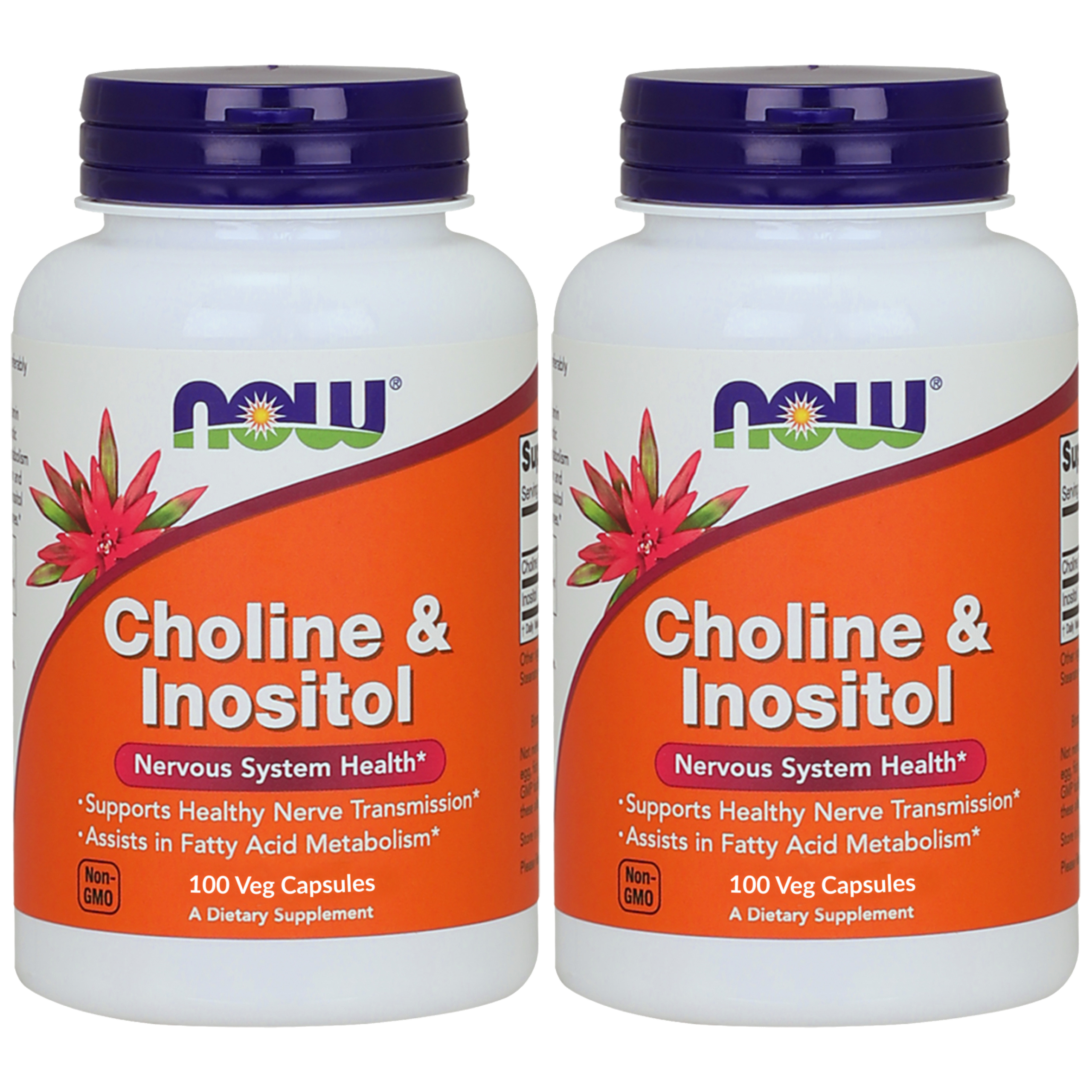NOW Choline and Inositol - 2x 100vcaps