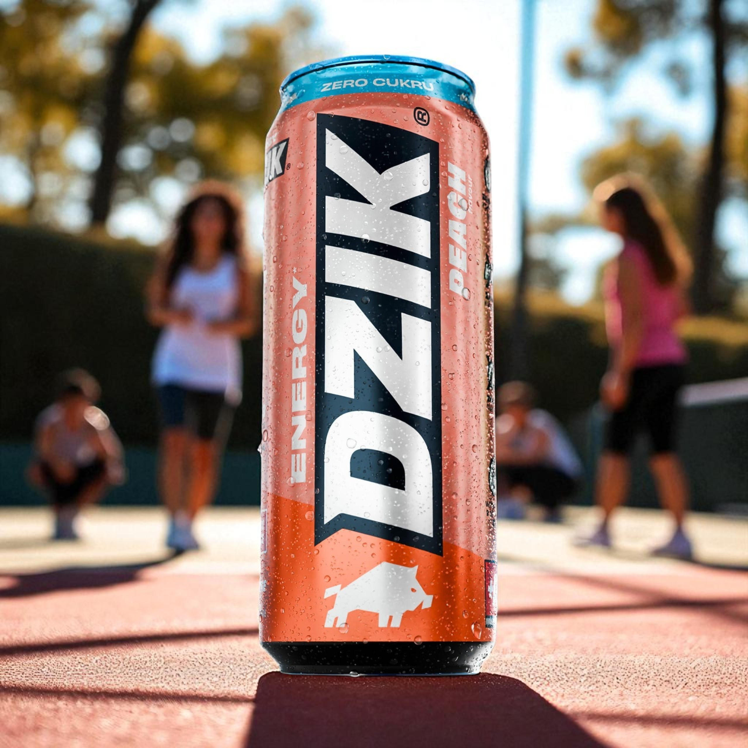 DZIK Energy Drink 2x 500ml