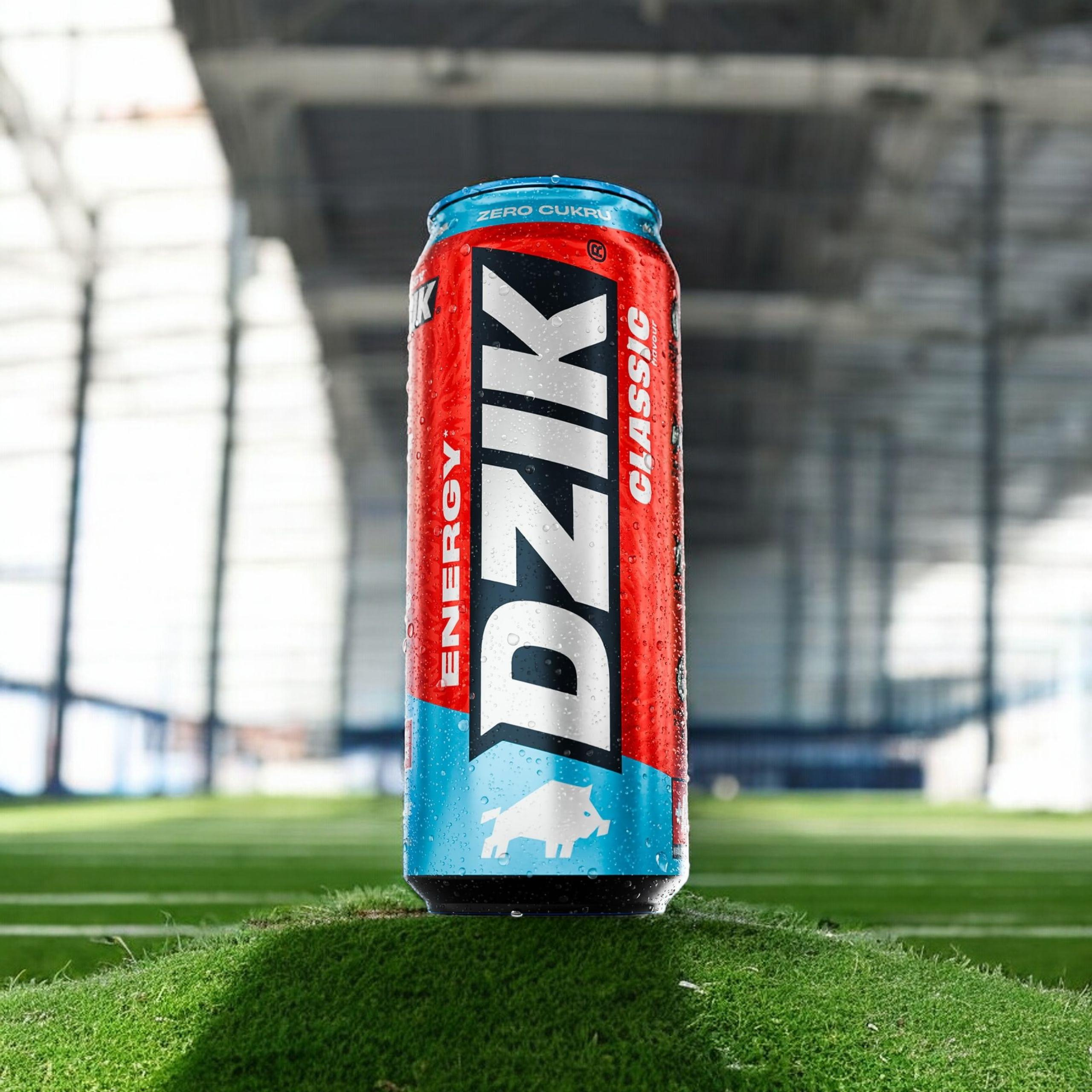 DZIK - Energy - 2x 500ml