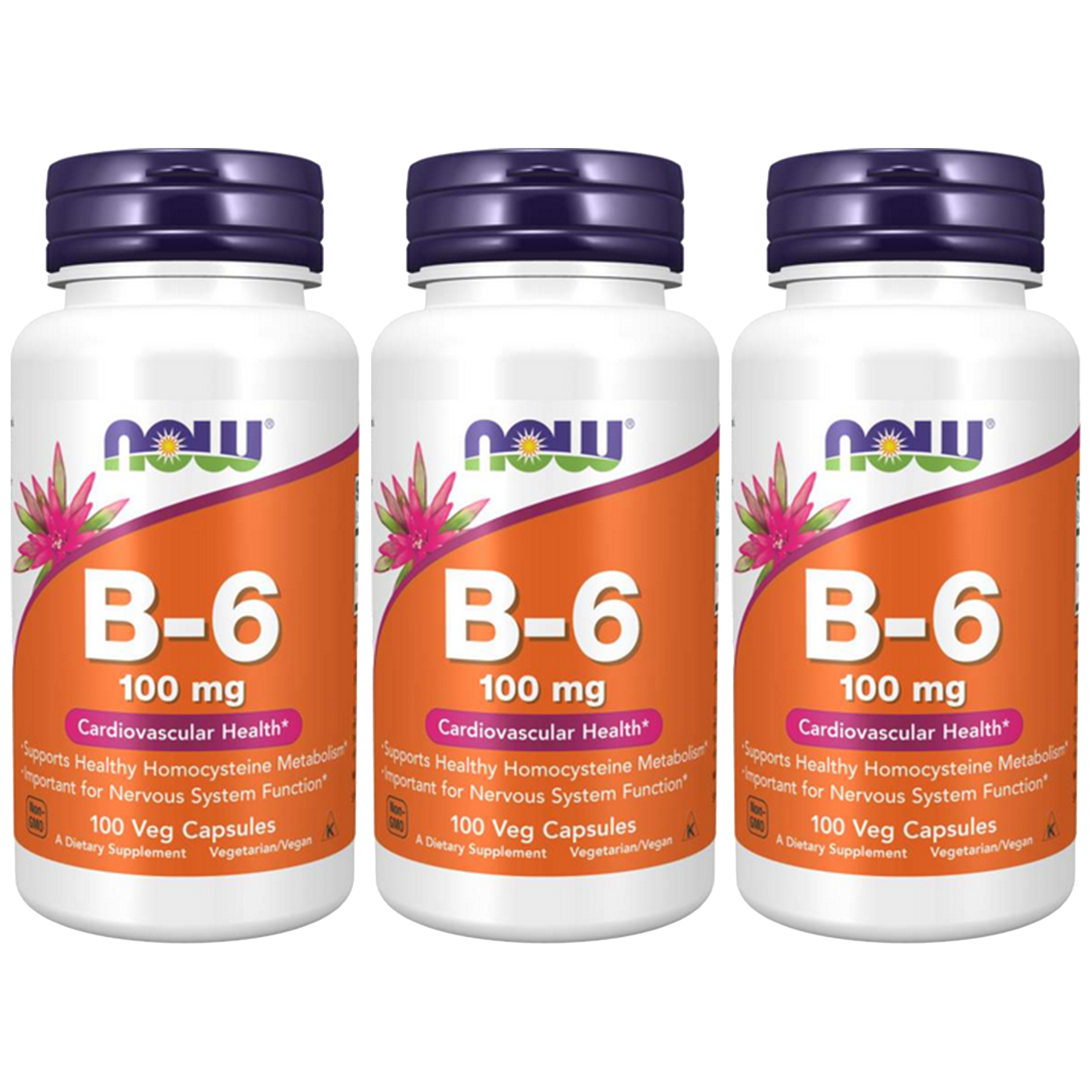 NOW Vitamin B-6 - 3x 100vcaps