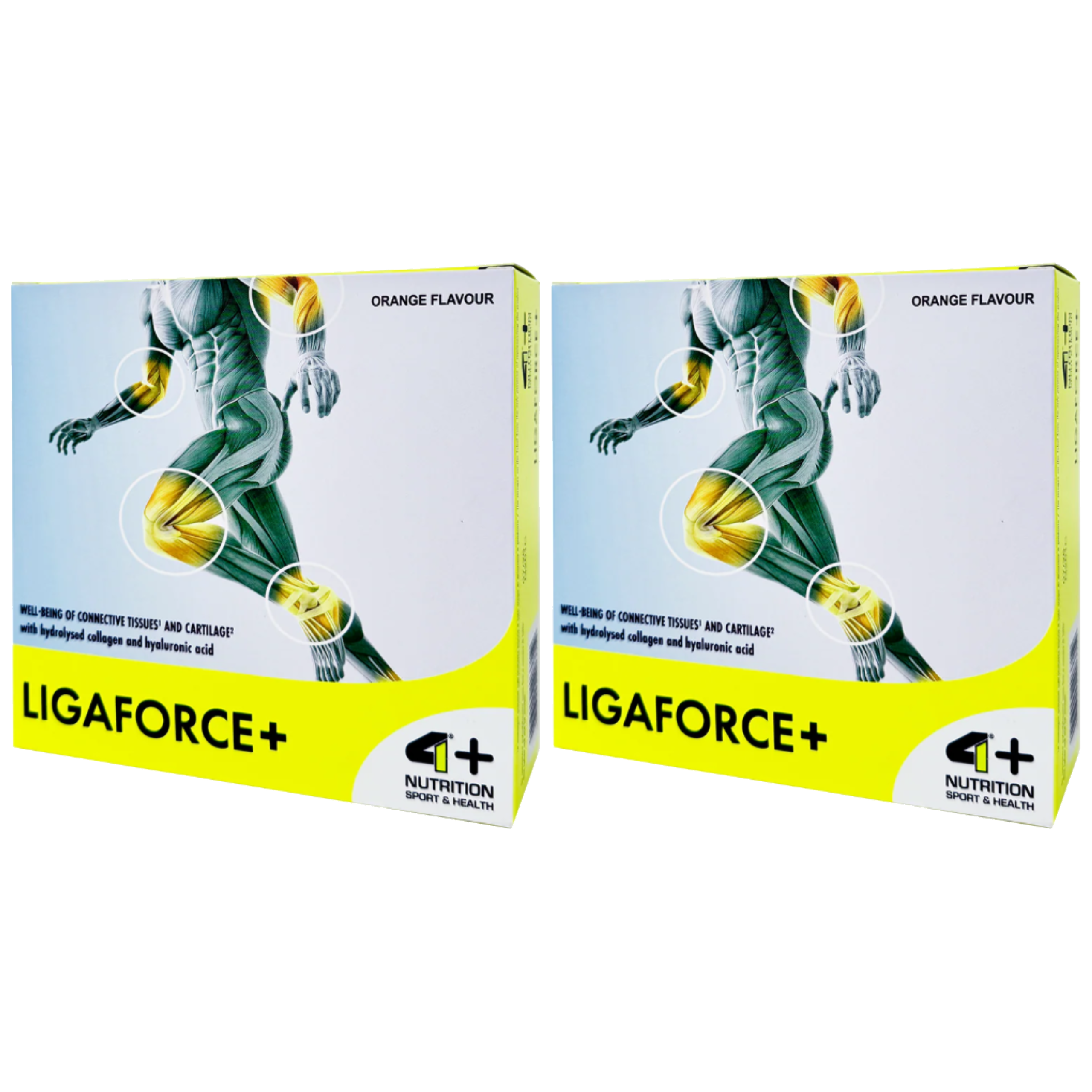 4+ NUTRITION Ligaforce+ - 2x 14x10,7
