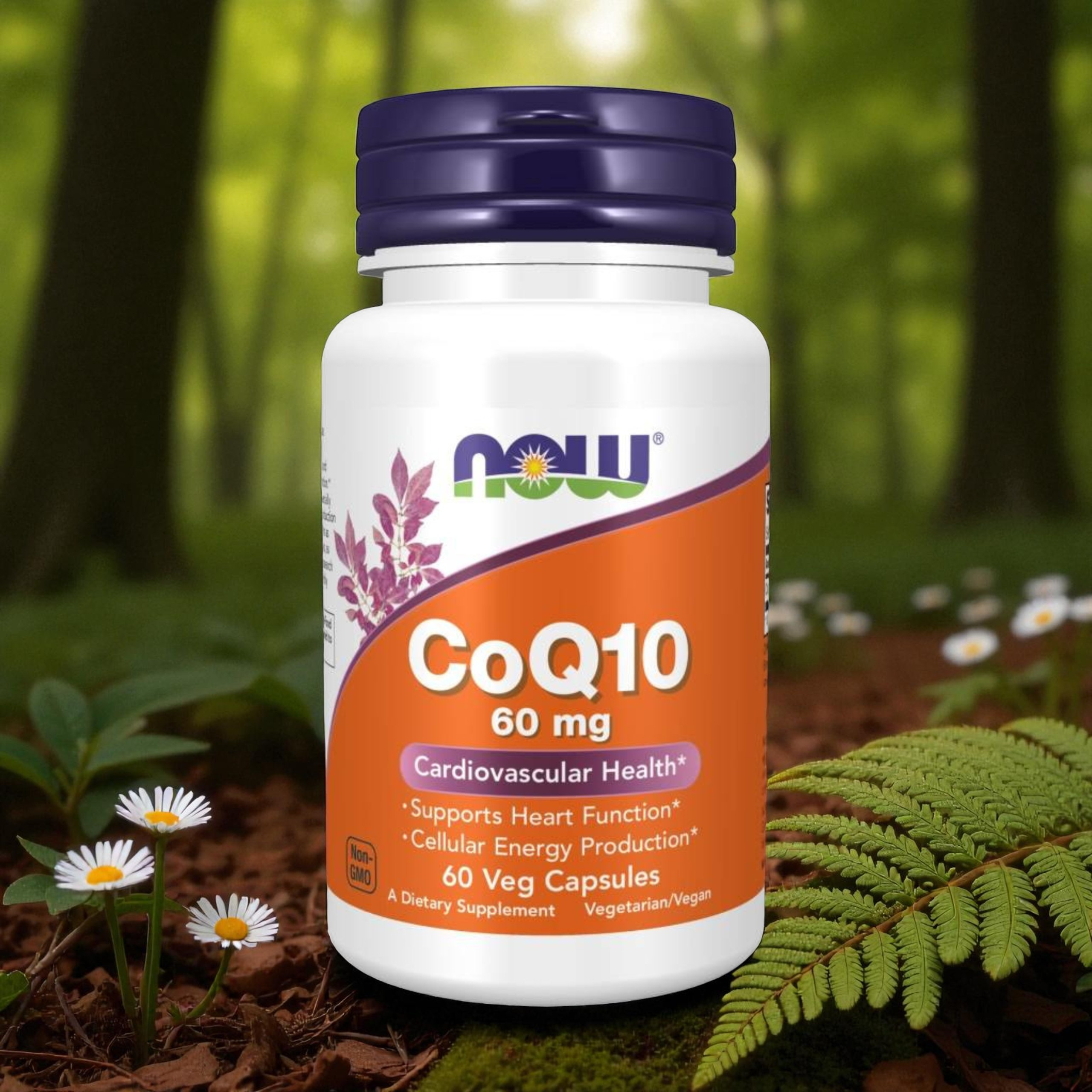 NOW - CoQ10 60mg - 2x 60vcaps.
