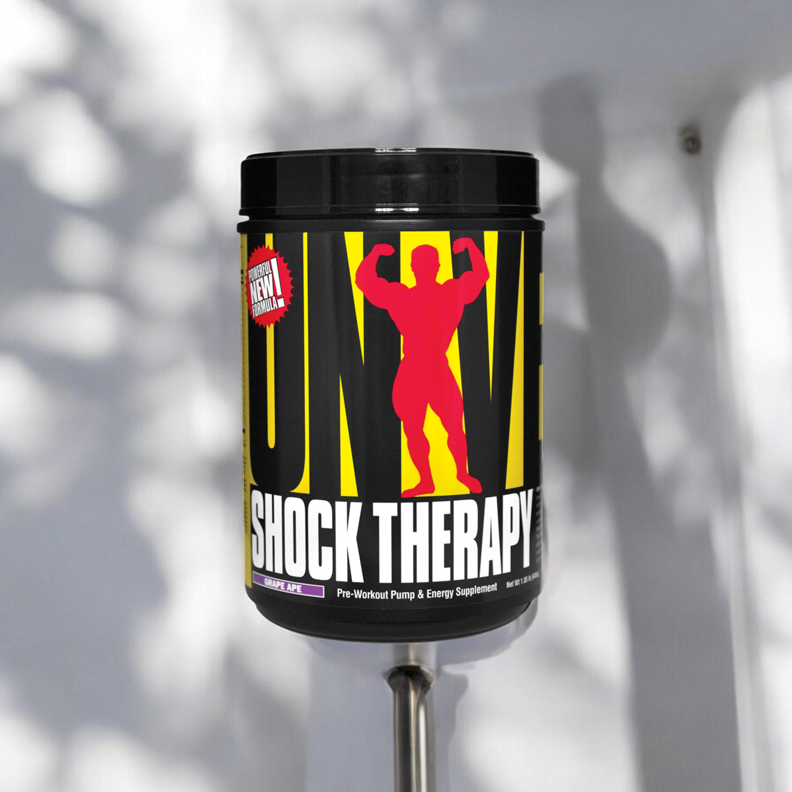 UNIVERSAL Shock Therapy - 2x 840g