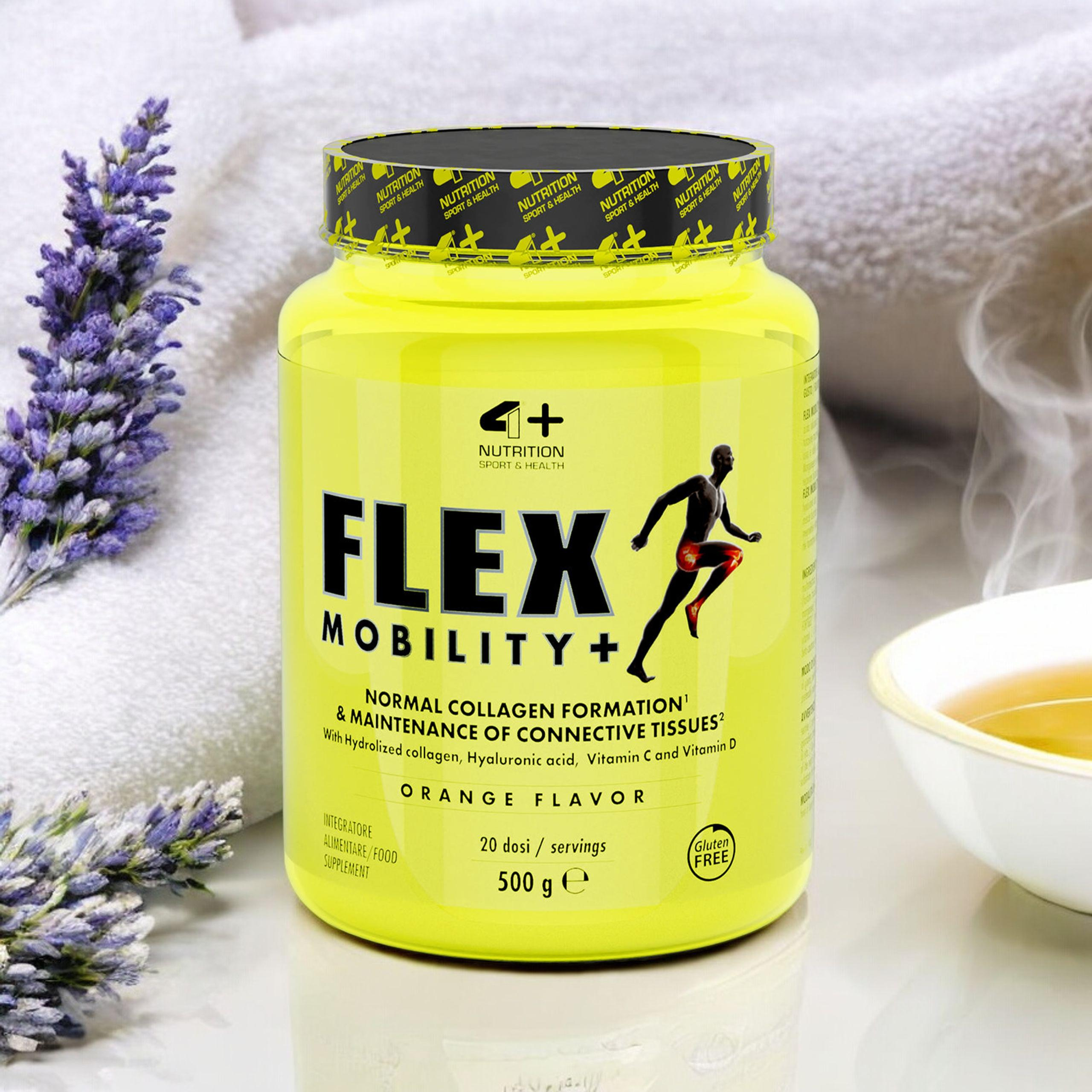 4+ NUTRITION FLEX Mobility+ - 500g