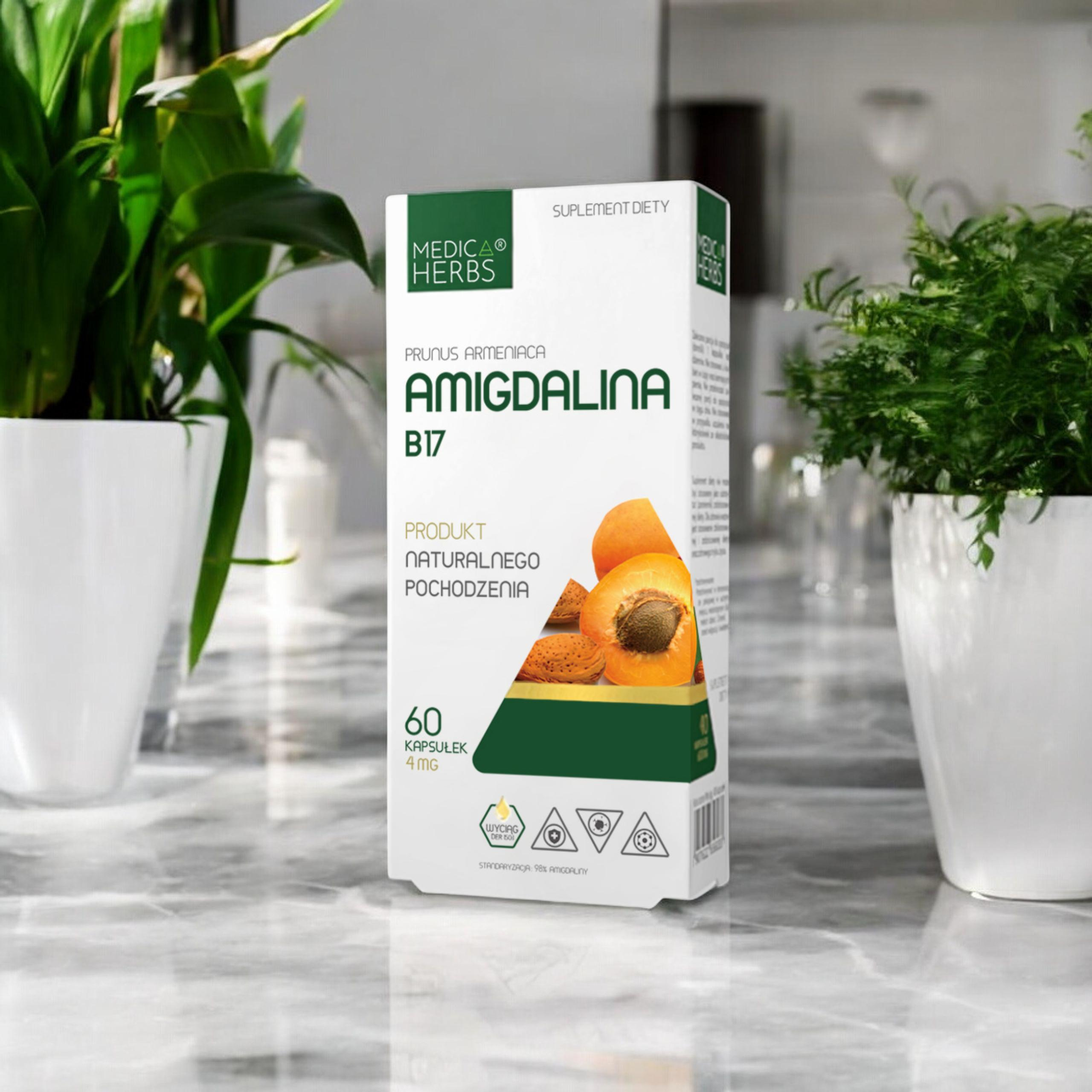 MEDICA HERBS - Amigdalina B17 4mg - 2x 60caps.