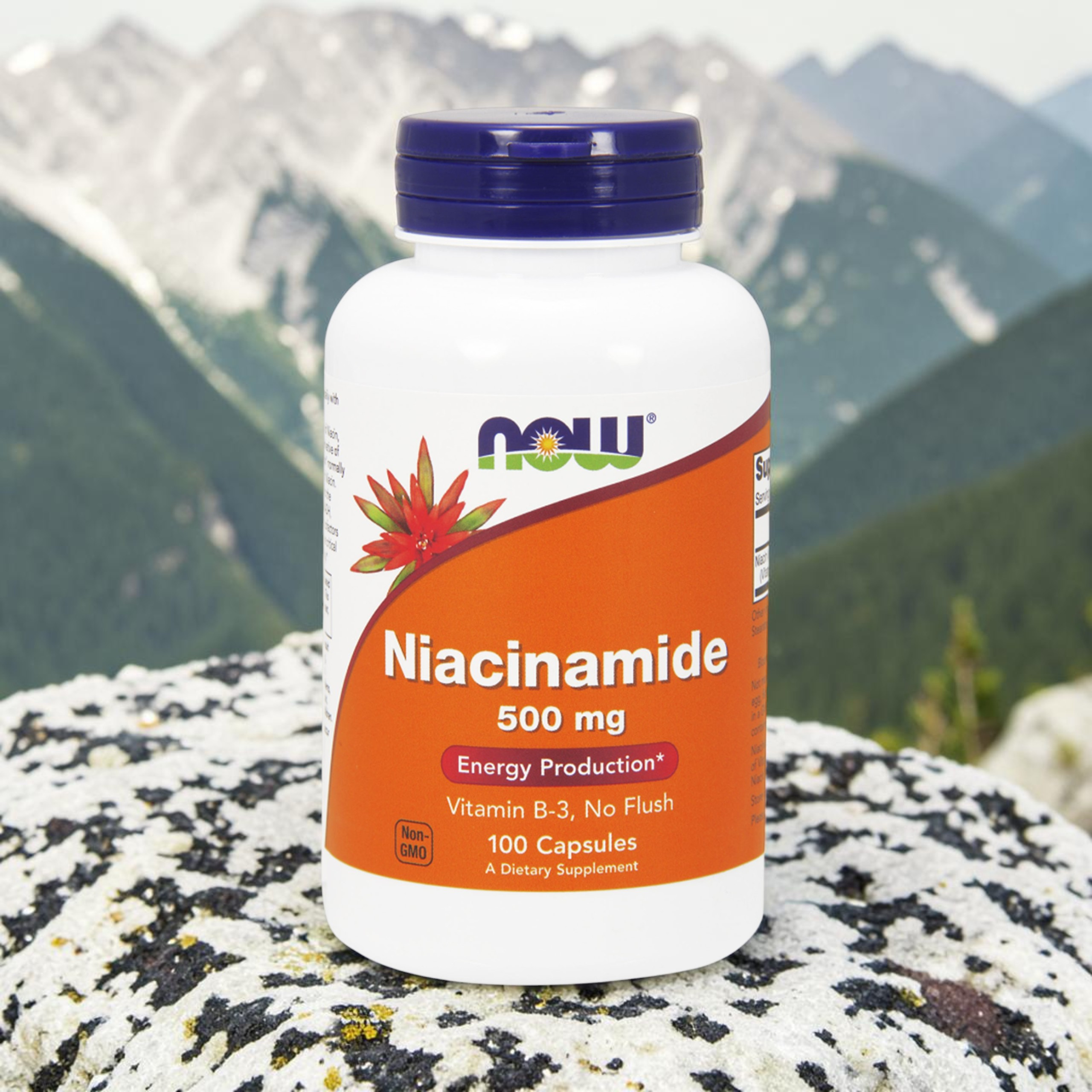 NOW Niacinamide 500mg (Witamina B3 - Niacyna) - 100caps - 3x NIE ODKRYWAĆ 