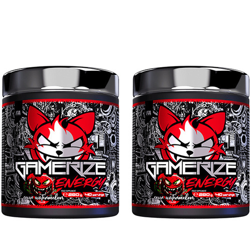 FITNESS AUTHORITY - Gamerize Energy - 2x 280g