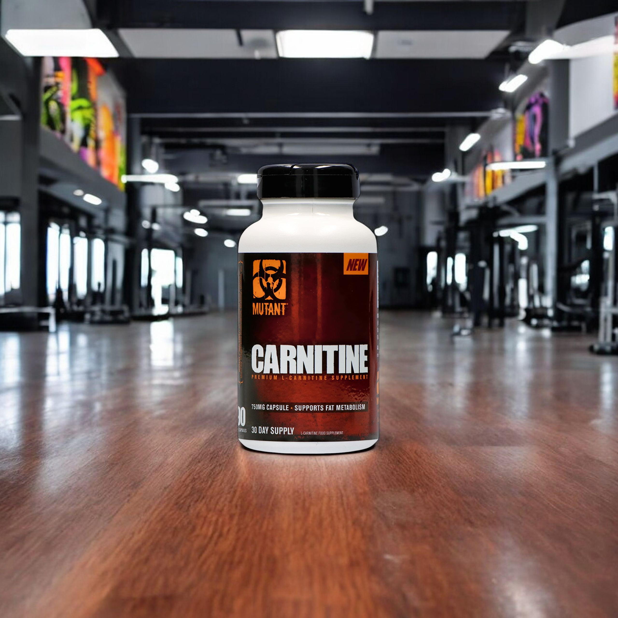 PVL L-Carnitine - 90vcaps